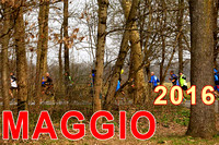 Maggio 2016 image