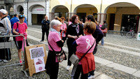 31.10.2015 Correggio (RE) - Camminata in Rosa - Foto di Nerino Carri