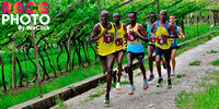 13.05.2023 Mezzocorona (TN) - 3^ Teroldego Half Marathon