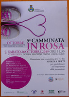 26.10.2019 Correggio (RE) -Camminata in Rosa  - Foto di Domenico Petti