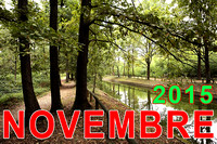 Novembre 2015 - Image