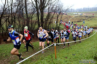 Album 2 - 19.01.2014 Cesano Maderno (MB) – 2^ Tappa Cross per Tutti - FIDAL Milano - Foto di Roberto Mandelli