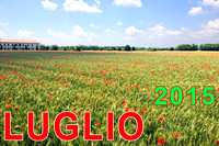 Luglio 2015 image