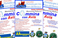 24.09.2022 Torri Del- Benaco (VR) - 1° Cammina con AVIS